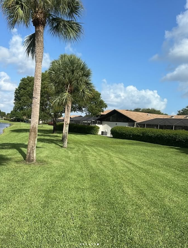 HOA lakeside common lawn with palms and trimmed hedges around the homes