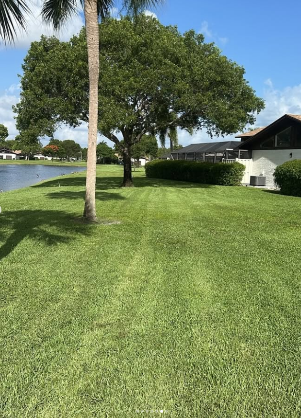 Evenly mowed lakeside lawn with shade trees kept clear and tidy